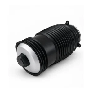 AI illustration: Mercedes C-Class W205 Rear Left Air Spring 2053200125 — main view