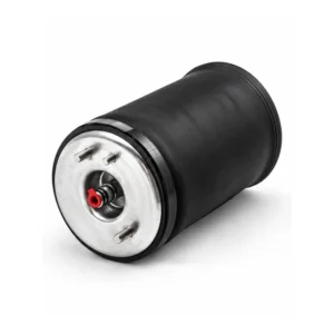 AI illustration: BMW X5 E53 Rear Air Spring 37126750356 / 37126750355 — main view