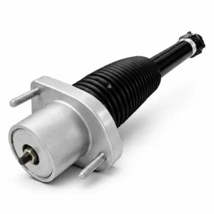 Land Rover Discovery 5 L462 Rear Shock Absorber LR081568